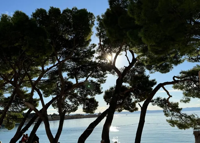 M&m Beachfront Lägenhet